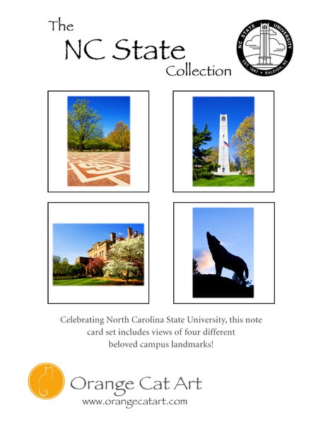 Note Card Collection, Set of 4